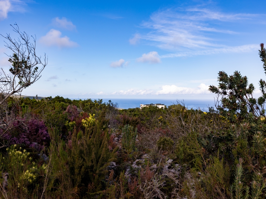 0 Bedroom Property for Sale in Pezula Private Estate Western Cape